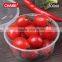 2016 china high quality cheap disposable plastic fast food box round shape no compartment