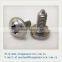Dongguan Stainless Steel Pan Head machine screw