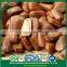 Factory Direct Organic Cracked Open Pine Nuts in Bulk