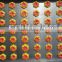 industrial cookie extruder machine two color cookies machines