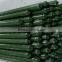 Plastic Coated Metal Garden Stakes