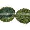 High quality plastic artificial grass ball