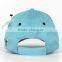 mens baseball sport hat cap and hat