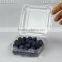 125 plastic blueberry boxes for packaging