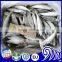 Frozen Round Scad Best Price Of Frozen Round Scad Mackerel Fish