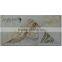 130x260mm MA13303 colored inkjet outdoor ceramic wall tile