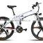 Private Label Outrider 250W Motor E-Bike With Hide Hidden Battery
