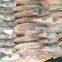 Best Quality Lady Fish Fillet