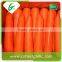 Organic fresh vegetable fresh carrot exporter