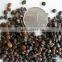 2016 High Purity Chinese Redbud Seeds For Growing