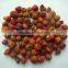 2015 crop dried rosehip fruit