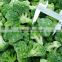 New crop frozen iqf broccoli