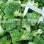 New Crop Frozen Iqf Broccoli