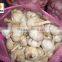 Hot sale dried white garlic supplier