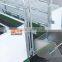 ^1.2*3.6m Pig farming equipment galvanized gestation stall /single size stall for sows