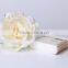 100pcs New Double Cotton Swab Round Tip in pp Bag