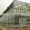 Rain shelter greenhouse