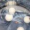 Felt Nepal BallS/Wool Dryer Balls/laundry Washing Ball