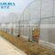 cheap easy multi-span greenhouse pe film green house