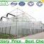 Low Cost Tunnel Plastic Greenhouse for sale