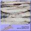 Sea Frozen Precooked 7.5kg Packed Bonito Loin