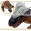 Remote dinosaur toys Radio toy rc dinosaur with music with EN71,dinosaurs jurassic