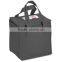Promotional Non-Woven Disposable Cooler Bag with Customized Logo