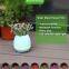 3 in 1 Bluetooth music flowerpot with Night light colorful changing light piano player
