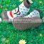 wholesale funny boy footwear ,cute soft baby shoes MC6011304