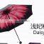 promotional umbrella / cheap umbrella / rain umbrella