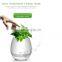 Egg Shell Smart Music Flower Pot Speaker with Light Touch Plant for Home Office Decoration