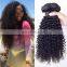 Good Feedback Wholesale Virgin Brazilian Curly Hair cheap brazilian hair bundles