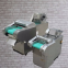 Variable Speed Food Processing Plant Fruit Slicer Machine