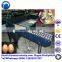 egg weighing machine cheap price 2 rows 5 grades egg grader machine egg sorting machine