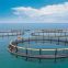 Cage Fish Farming Floating Net Cage Square And Circle