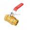 China cw614n pn40 brass ball valve WOG600