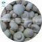 2020 New Crop Wholesale Top Grade Thickness 4 - 6 mm IQF Frozen Champignon Mushroom Slices