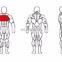 exercise body building commercial gym fitness equipment ASJ-A001 chest press machine