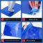 Disposable factory dust-free workshop dust-proof high adhesion dust pad PE blue anti-static floor pad, removable dust removal pad
