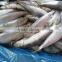 Head off gutted tail off Frozen sardine fish and Sardinella longiceps