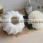 100ml ceramic aroma diffuser/aroma reed diffuser /home fragrance diffuser                        
                                                Quality Choice