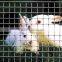Factory direct supply 5*5 welded rabbit cage wire mesh