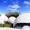 Dome-shaped tent Event dome marquee Steel frame white PVC cover 500personoutdoor camping tentmarquee for sale