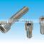 china cheap all kinds of stainless steel confirmat screw