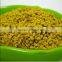 Highly Refined Honey Bee Pollen