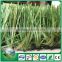 Pile Height 50mm cheap artificial grass carpet with topquality
