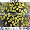 Industrial Abrasives Yellow RVD Diamond Powder, Dust