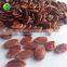 Chinese red hybrid melon seeds