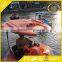 Summer hot selling bumper boat Battery Bumper boat Inflatable Bumper Boat for adult or children