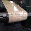 hot sale color coated metal sheet in coils and strips GI GL PPGI PPGL of Shandong Jinshengtai Steel Company